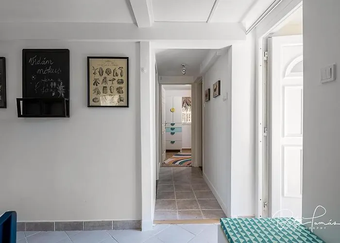 Vidám Mókus Apartman
